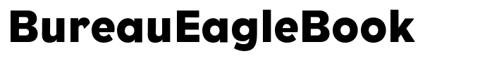 BureauEagleBook