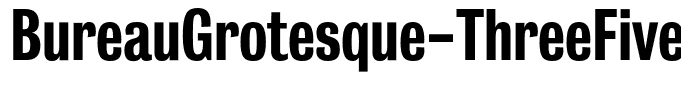 BureauGrotesque-ThreeFive