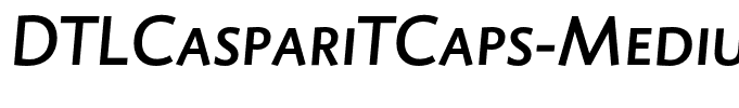DTLCaspariTCaps-MediumItalic