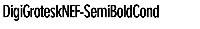 DigiGroteskNEF-SemiBoldCond