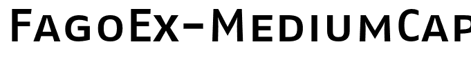 FagoEx-MediumCaps
