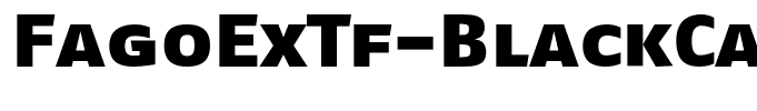 FagoExTf-BlackCaps