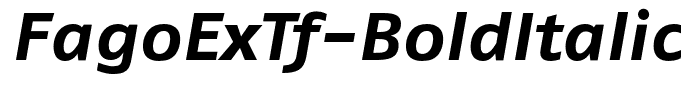 FagoExTf-BoldItalic