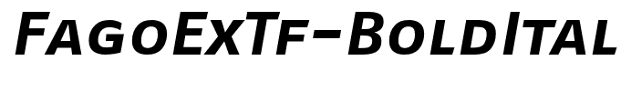 FagoExTf-BoldItalicCaps