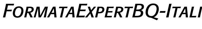 FormataExpertBQ-Italic