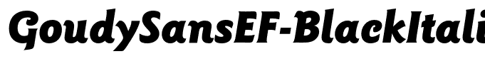 GoudySansEF-BlackItalic