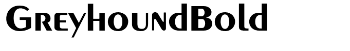 GreyhoundBold