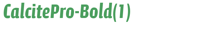 CalcitePro-Bold(1)