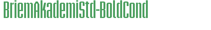BriemAkademiStd-BoldCond