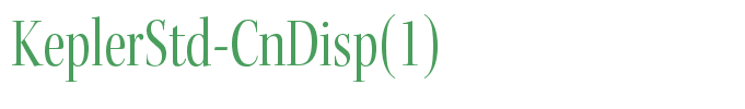 KeplerStd-CnDisp(1)