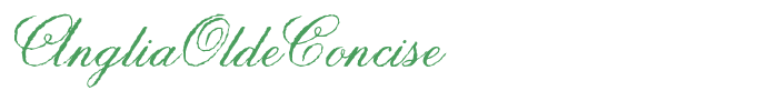 AngliaOldeConcise