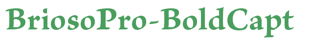 BriosoPro-BoldCapt