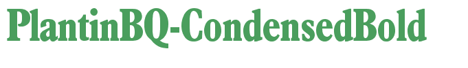 PlantinBQ-CondensedBold