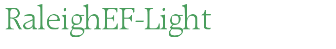 RaleighEF-Light