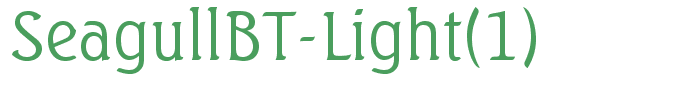SeagullBT-Light(1)